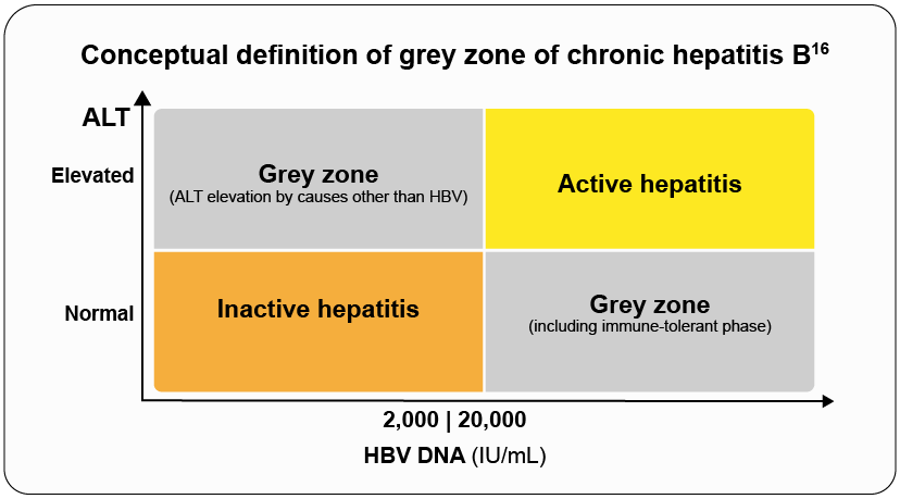 Grey zone of Hepatitis B virus Grey zone of Hepatitis B virus